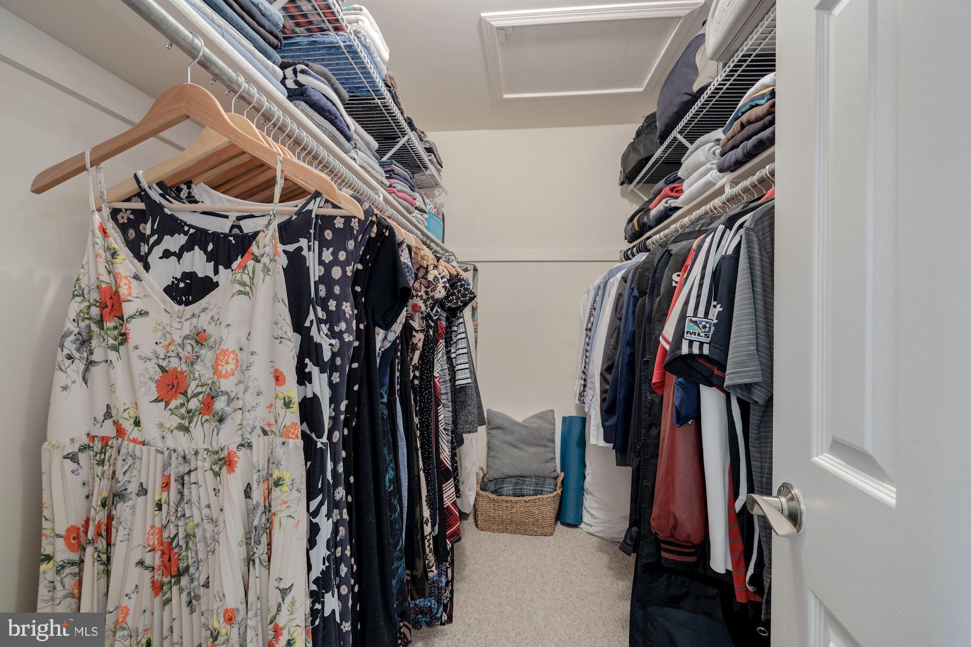 CATHCART SPRINGS - Residential