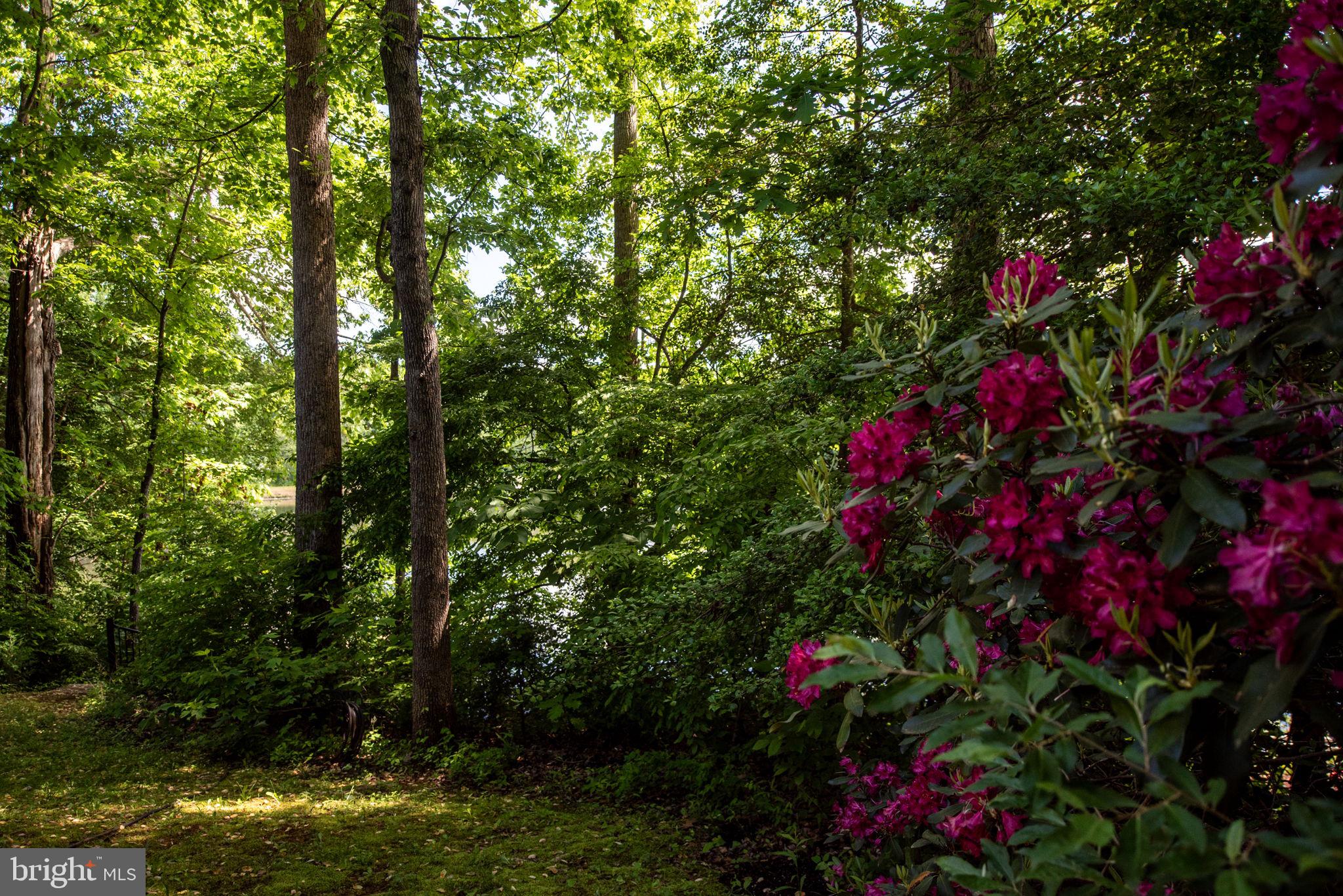 LAKE WILDERNESS - Residential