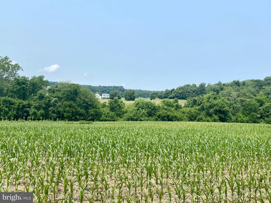 THERE IS PLENTY OF PRIVACY WITH BEAUTIFUL MOUNTAIN AND PASTORAL VIEWS FROM THIS 8.7 ACRE BUILDING LOT NEAR THE HISTORIC MONOCACY BATTLEFIELD, WORTHINGTON MANOR GOLF COURSE, WHISKEY CREEK GOLF COURSE, AND URBANA. GREAT COMMUTER LOCATION NEAR I-270. THERE IS A 20 GPM WELL, AND THE SEPTIC IS APPROVED FOR A STANDARD- SYSTEM 4 BEDROOM HOME, THIS RECORDED LOT #2 HAS PROTECTIVE COVENANTS FOR THE THREE HOME DEVELOPMENT, AND A DRIVEWAY MAINTENANCE AGREEMENT. CANNOT BE SUBDIVIDED. THE NEIGHBOR FARMER IS FARMING THE PROPERTY AND SHALL BE ALLOWED TO COMPLETE THE HARVEST OF ANY ANNUAL CROPS PLANTED PRIOR TO THE SALE. THE FARMER MAY WANT TO CONTINUE TO CROP FARM THE PROPERTY IN AREAS PREFERRED BY THE BUYER. THE BUYER MAY WANT TO SIGN THE DECLARATION OF AGRICULTURAL INTENT FORMS INCLUDED IN THE LISTING DOCUMENTS FOR A MUCH LOWER TAX RATE, AND TO AVOID THE AGRICULTURAL TRANSFER TAX. BUYER WILL NEED TO CONTACT POTOMAC EDISON REGARDING ELECTRICAL POWER TO THE PROPERTY.