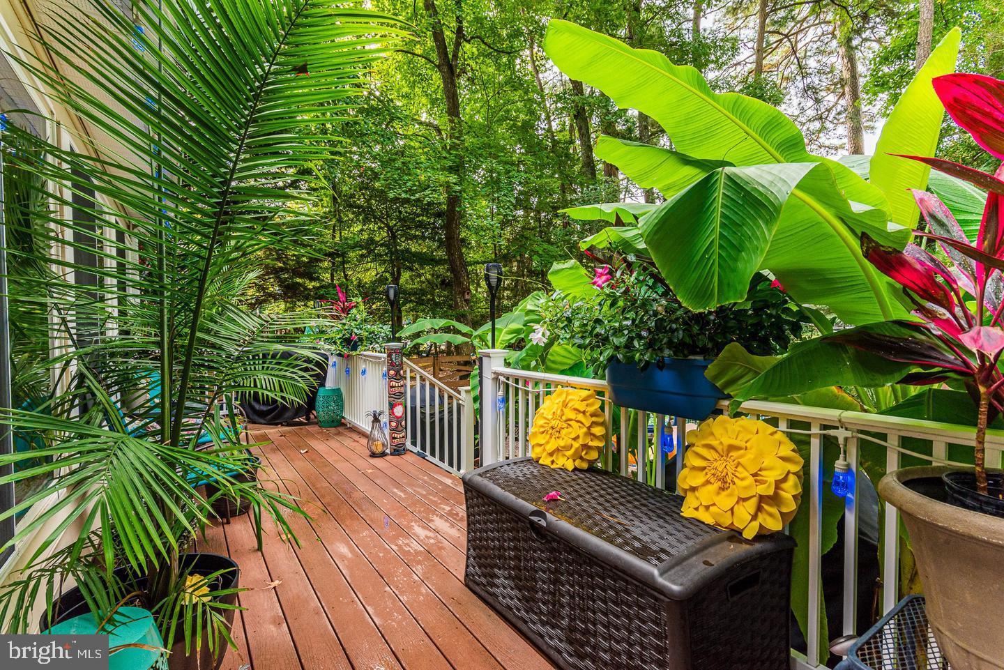 OCEAN PINES - NEWPORT - Residential