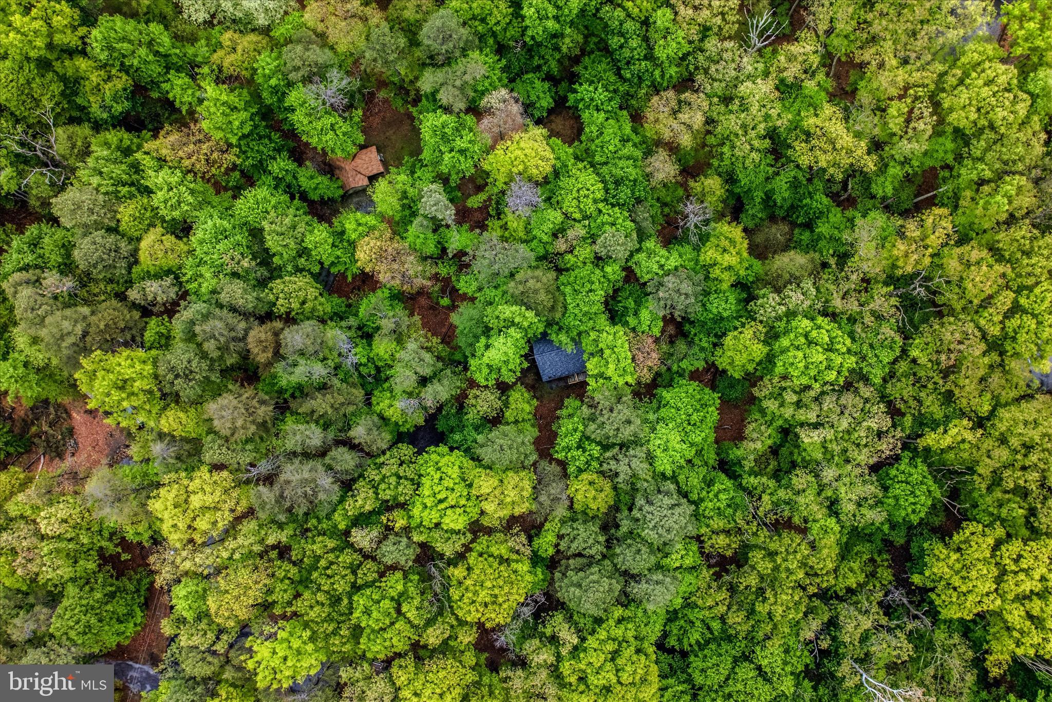 THE WOODS - Residential