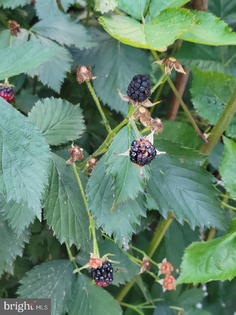 KINGS GRANT LA PLATA - Residential