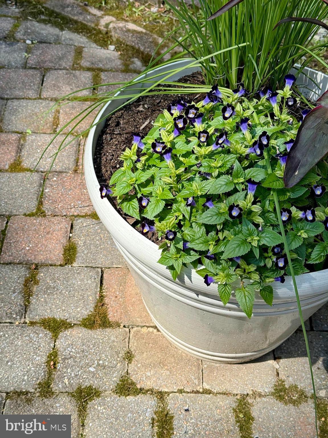 KINGS GRANT LA PLATA - Residential