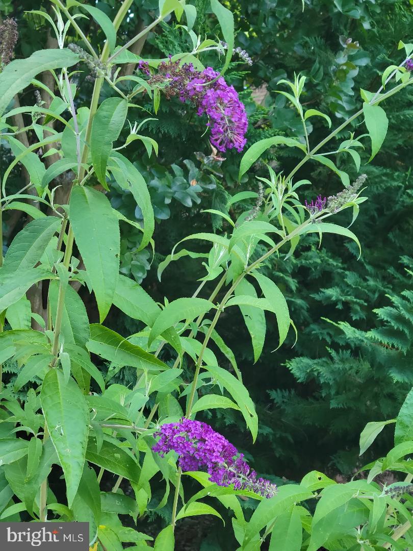 KINGS GRANT LA PLATA - Residential