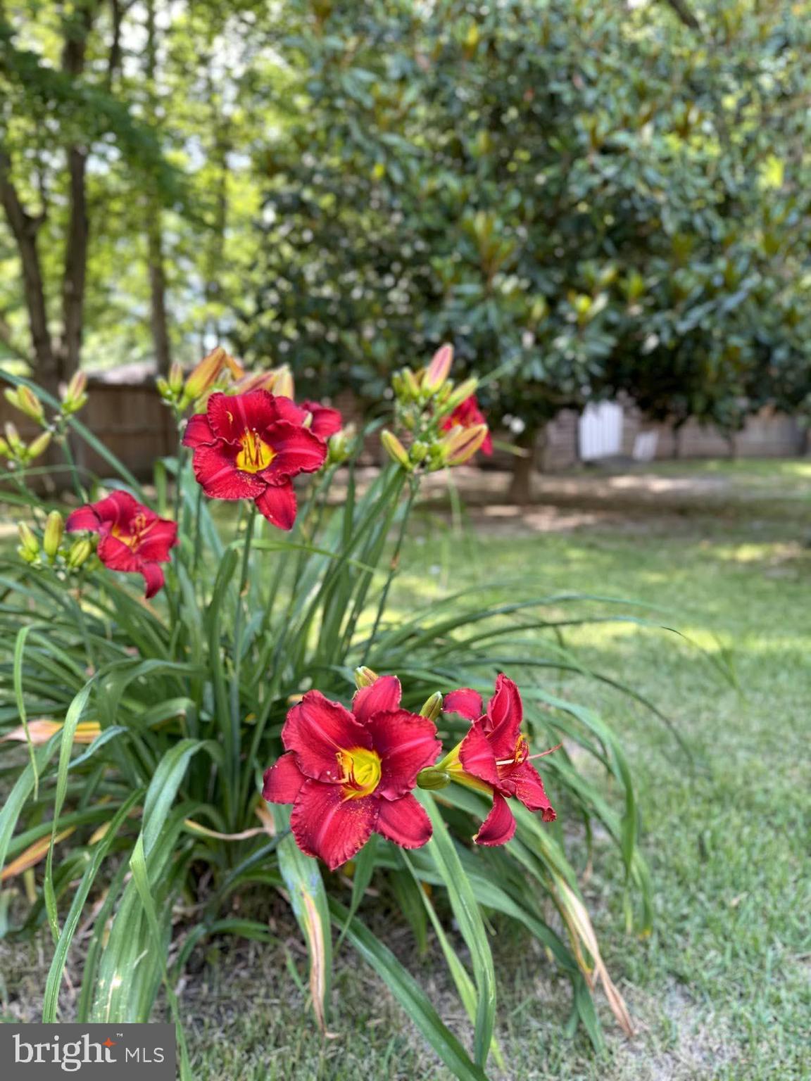 KINGS GRANT LA PLATA - Residential