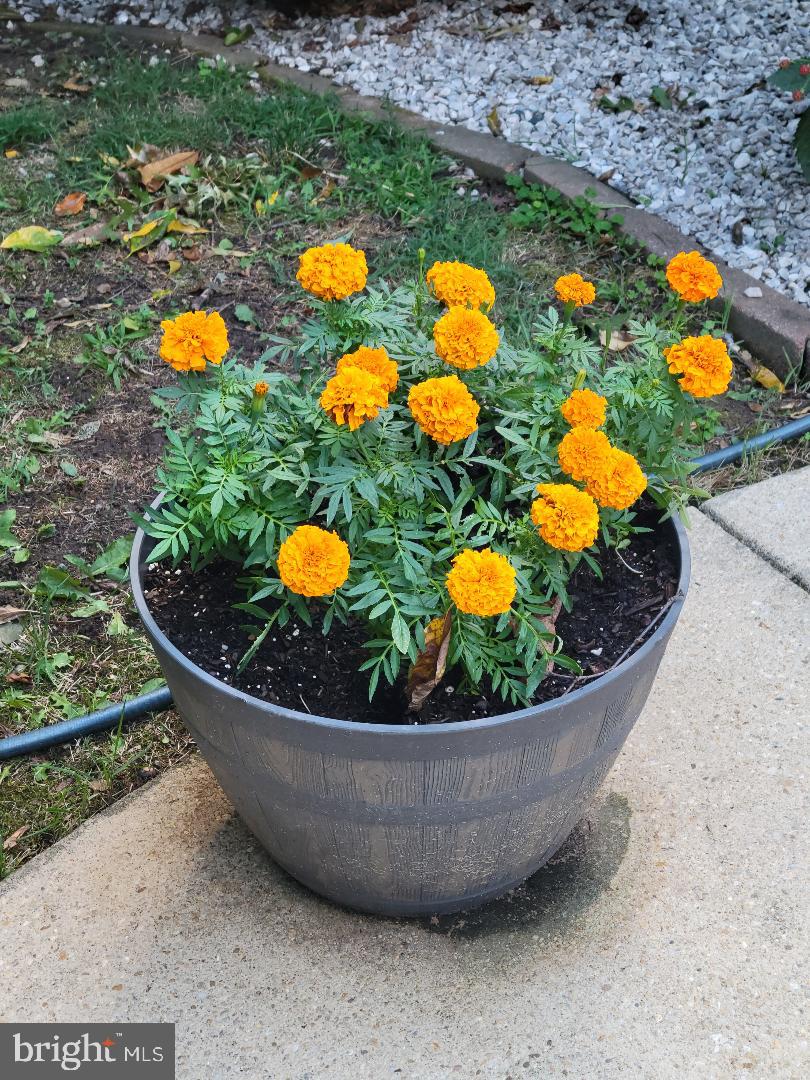 KINGS GRANT LA PLATA - Residential