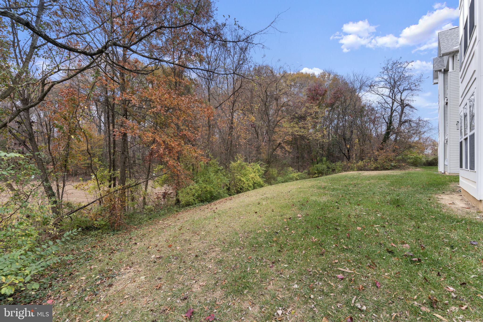 SOUTH MEADOWS - Residential