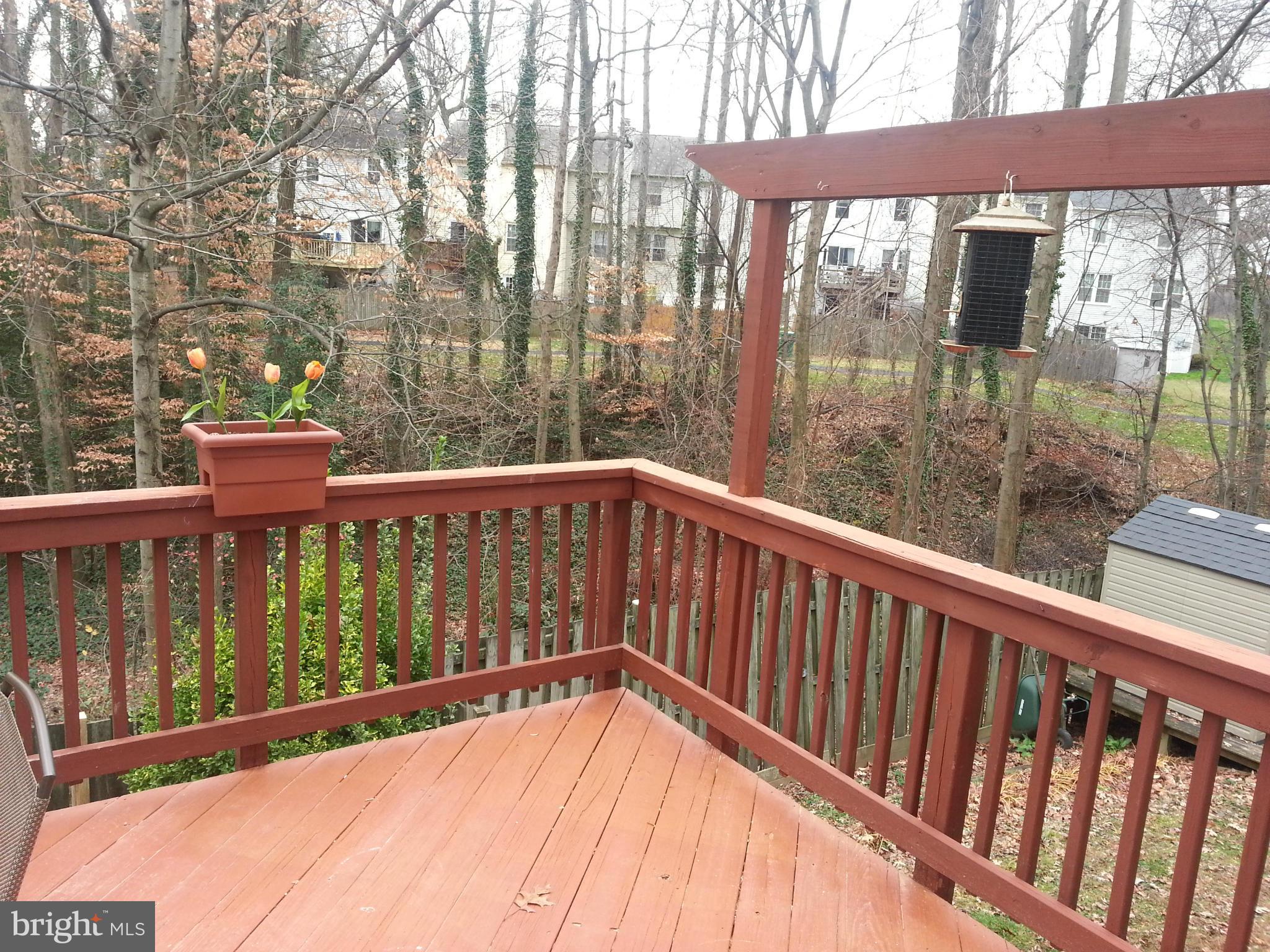 ROLLING BROOK - Residential Lease
