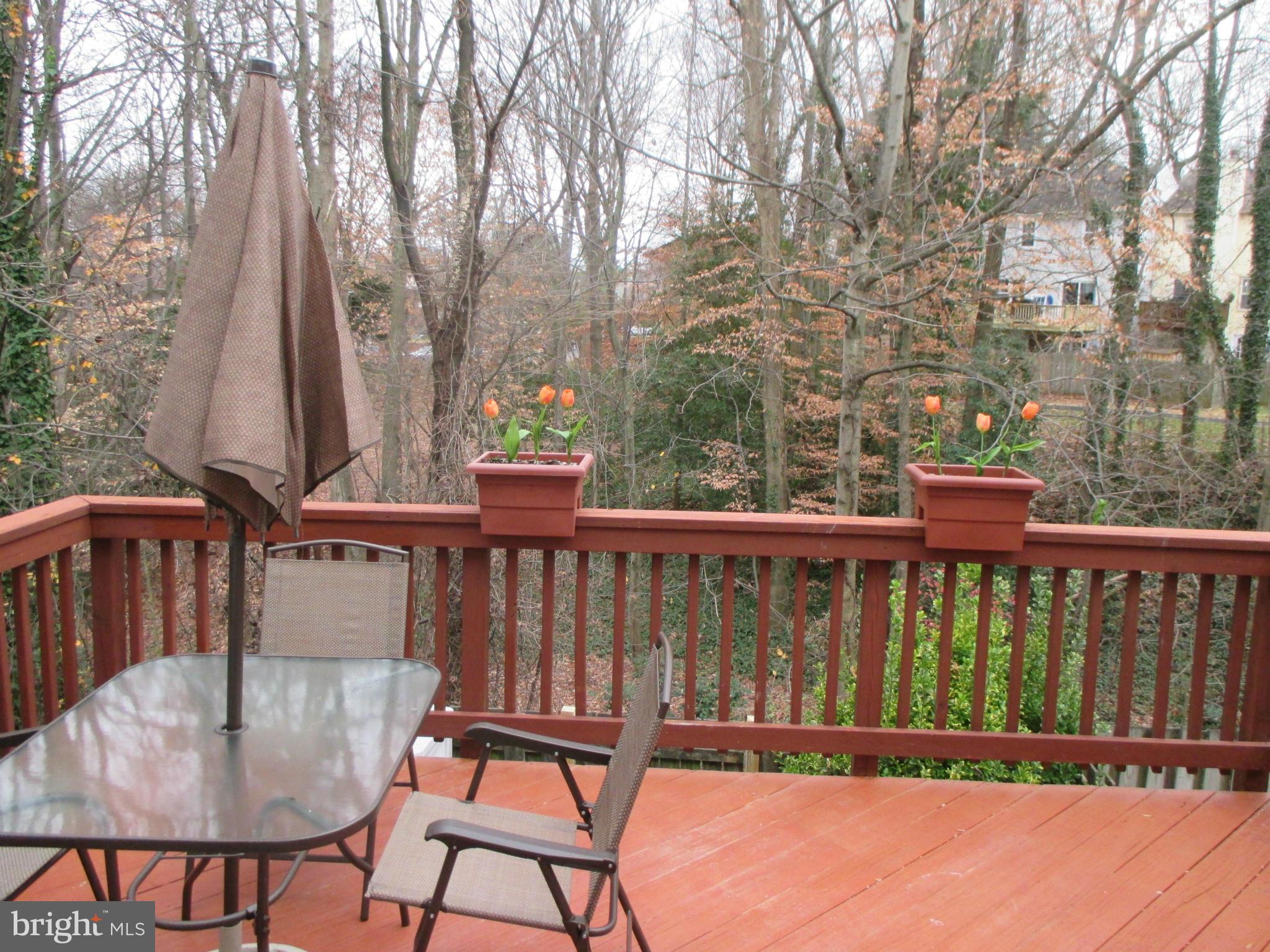 ROLLING BROOK - Residential Lease