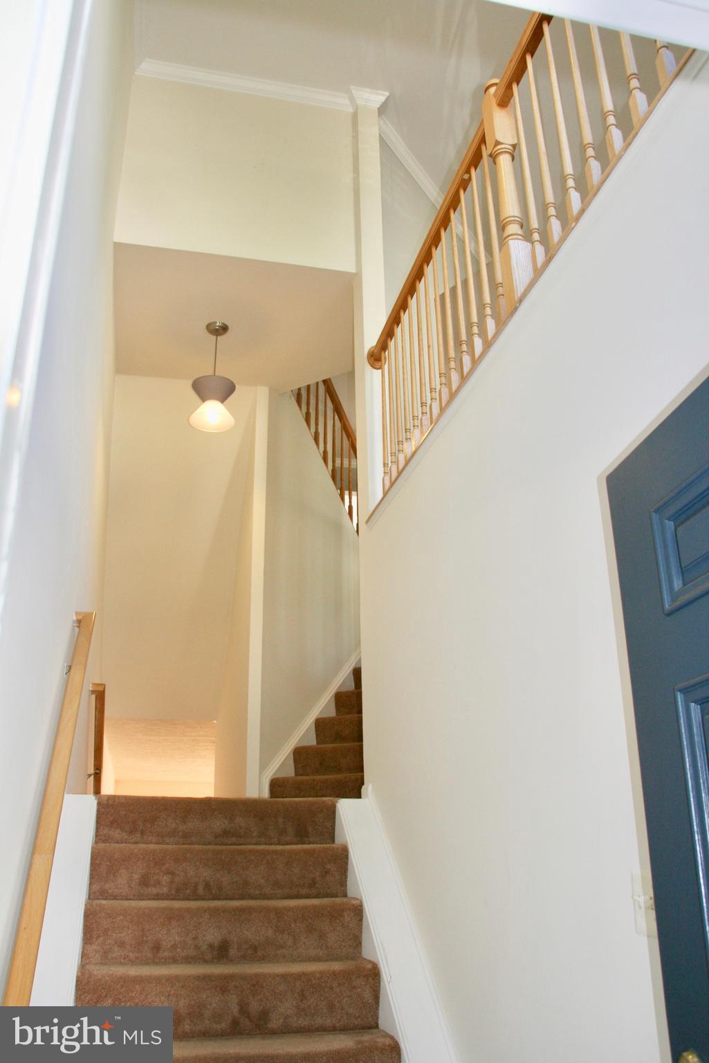 KINGSTOWNE - Residential Lease