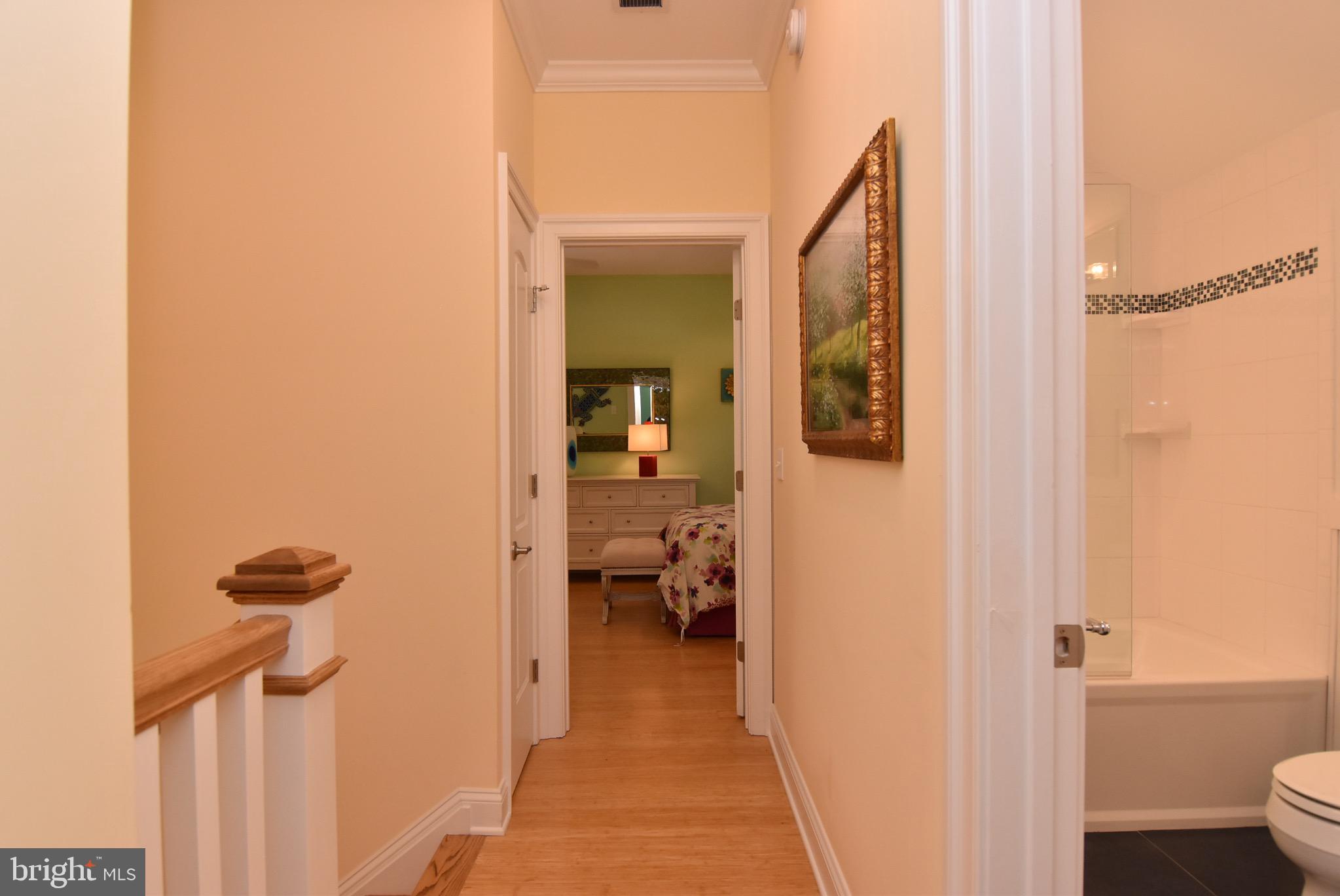 SOUTH REHOBOTH - Residential