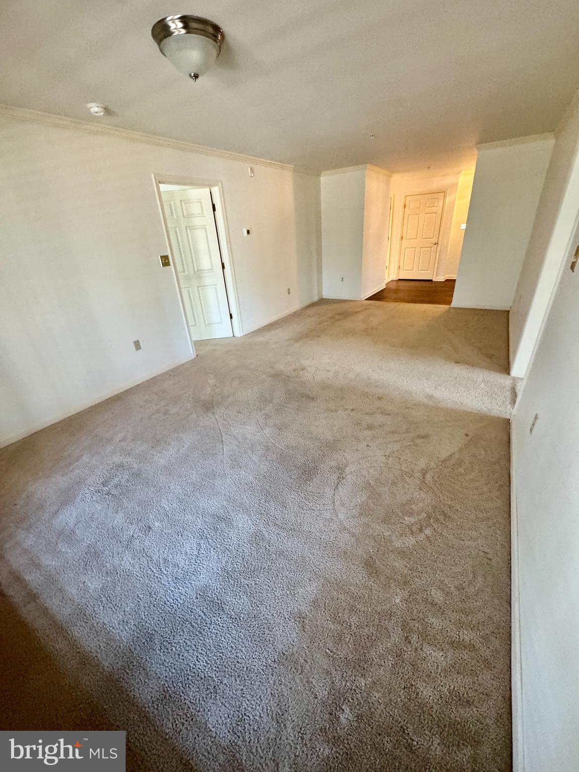 1101 S SCHUMAKER DRIVE 010