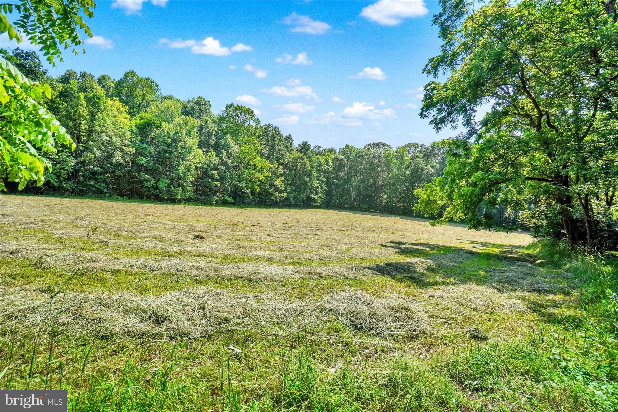 CODORUS - Residential