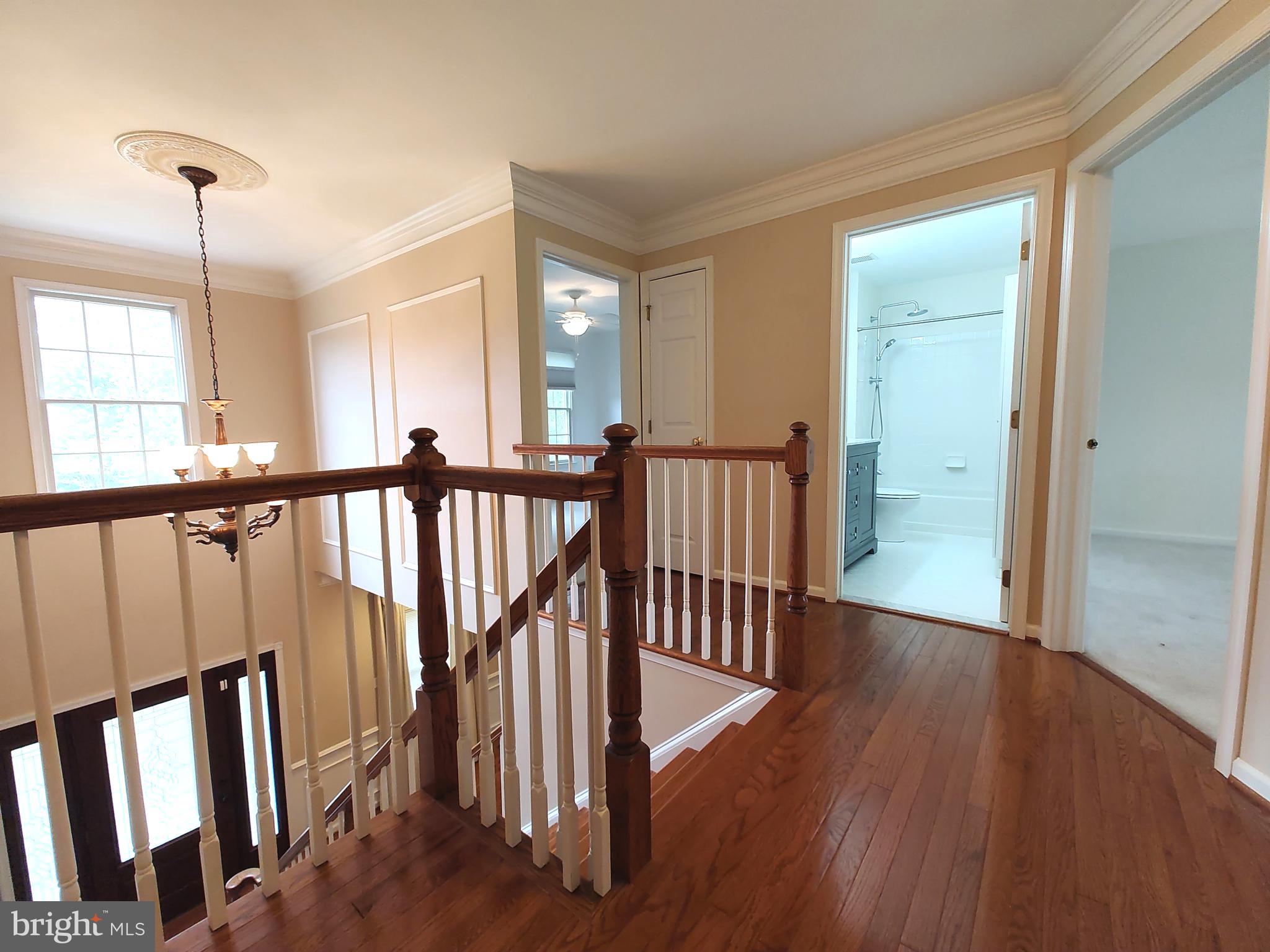 COLD SPRING HUNT - Residential Lease