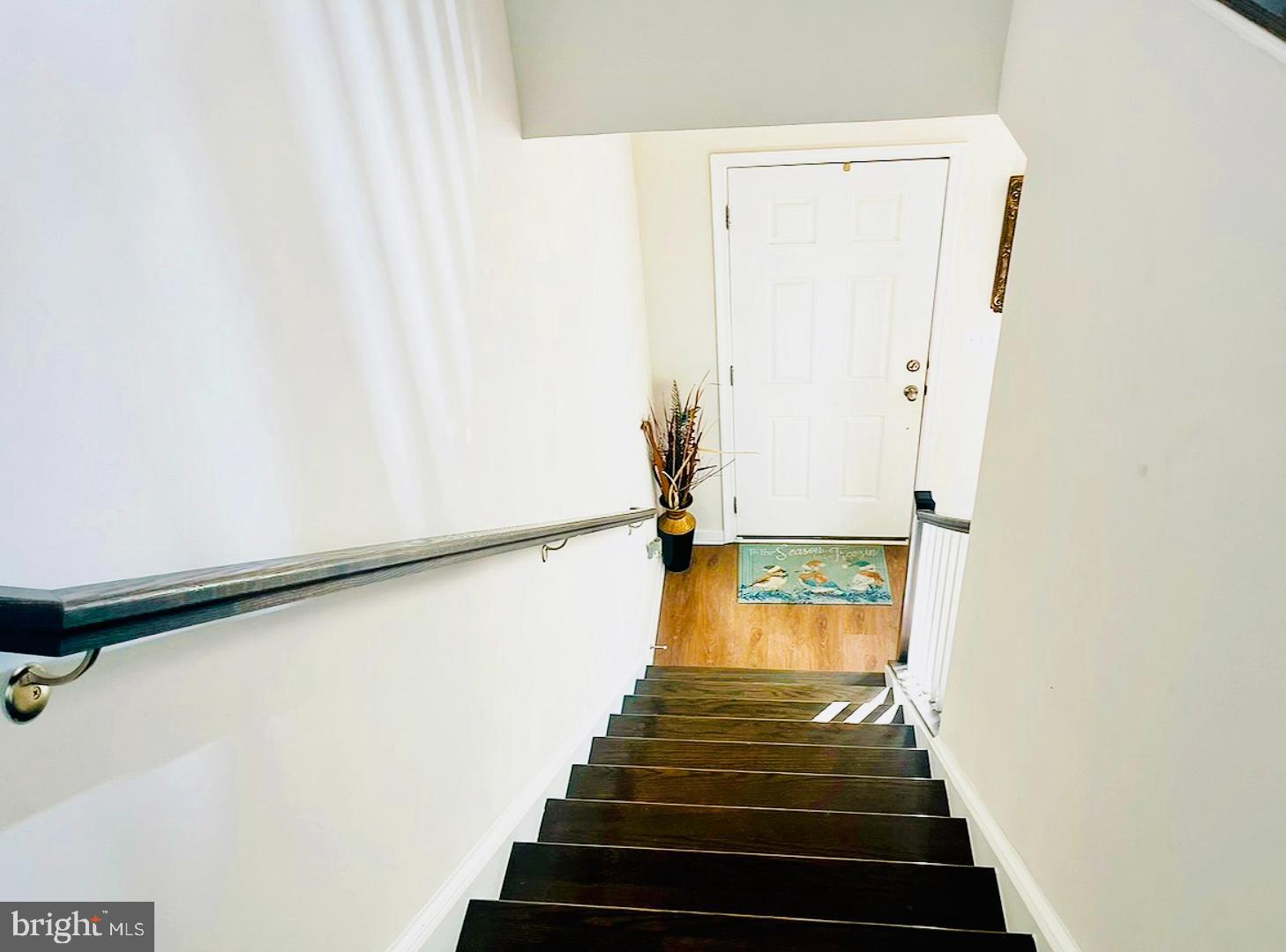 2619 LEWIS AND CLARK AVENUE