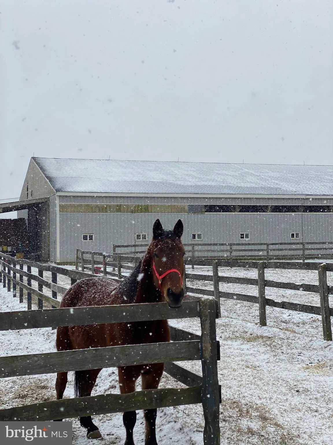 New Egypt, New Jersey 08533, United States, 3 Bedrooms Bedrooms, ,3 BathroomsBathrooms,Residential,Active,156459