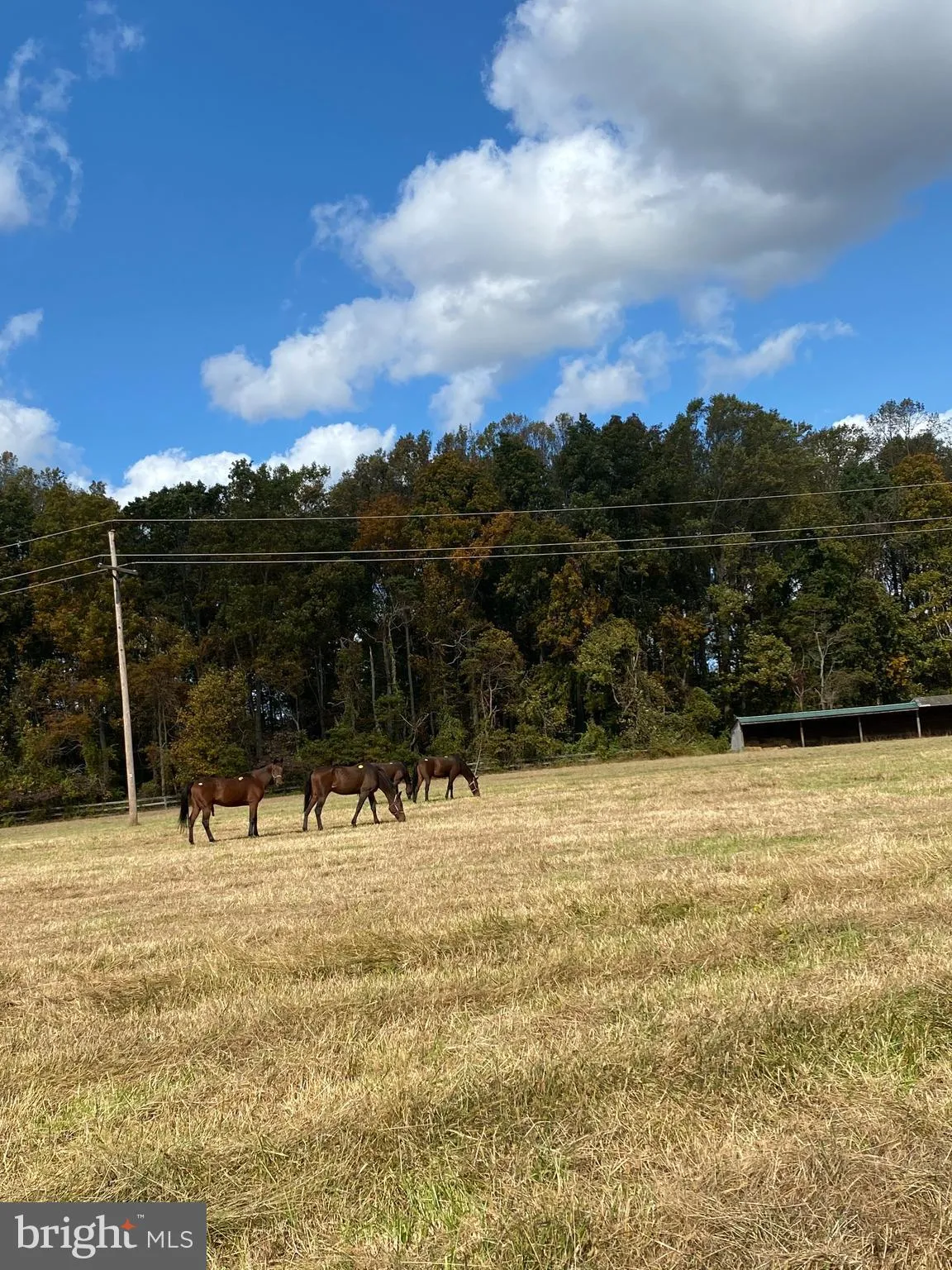 New Egypt, New Jersey 08533, United States, 3 Bedrooms Bedrooms, ,3 BathroomsBathrooms,Residential,Active,156459