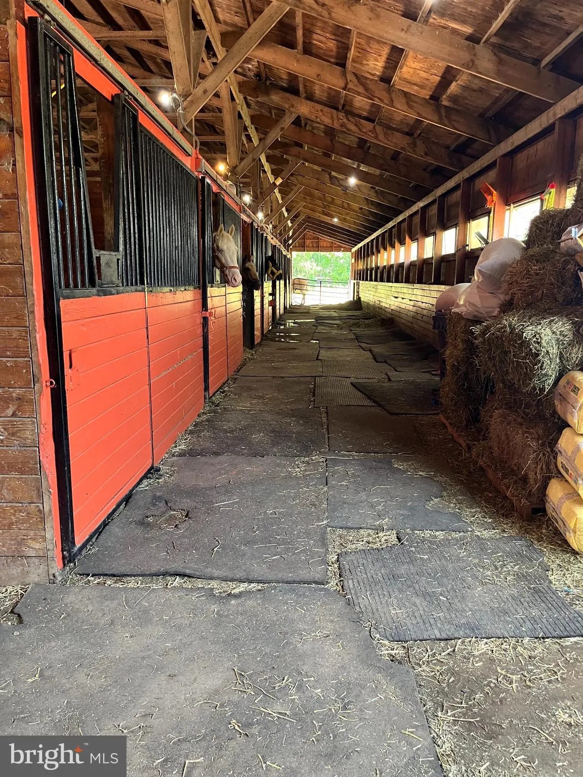 New Egypt, New Jersey 08533, United States, 3 Bedrooms Bedrooms, ,3 BathroomsBathrooms,Residential,Active,156459