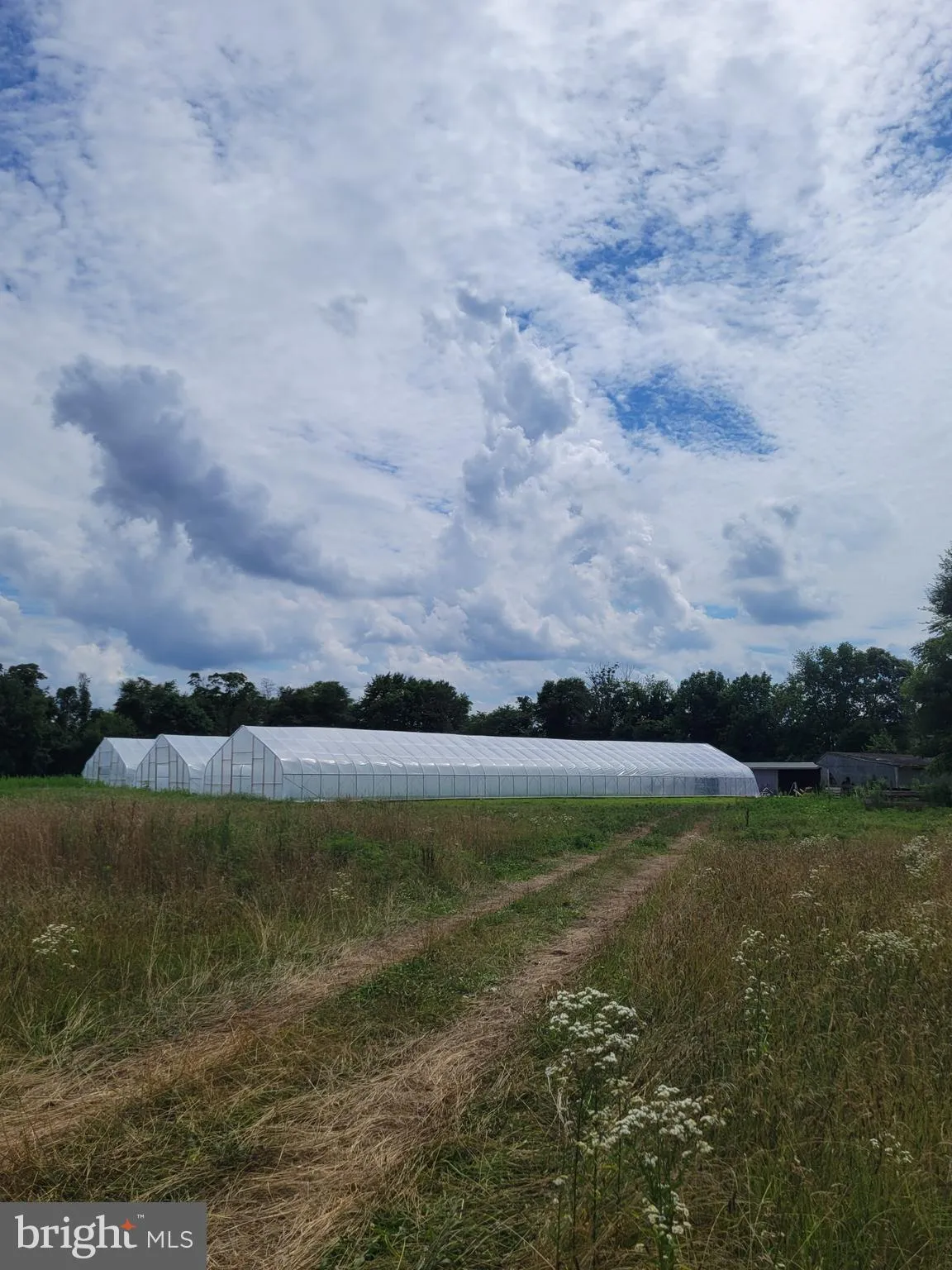 New Egypt, New Jersey 08533, United States, 3 Bedrooms Bedrooms, ,3 BathroomsBathrooms,Residential,Active,156459