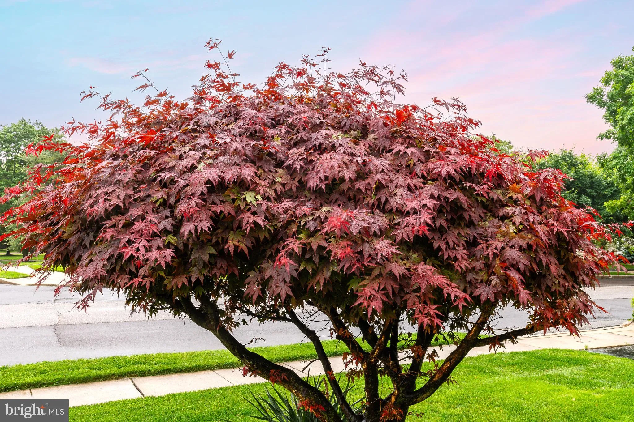 Lafayette Hill, Pennsylvania 19444, United States, 4 Bedrooms Bedrooms, ,3 BathroomsBathrooms,Residential,Pending,136437