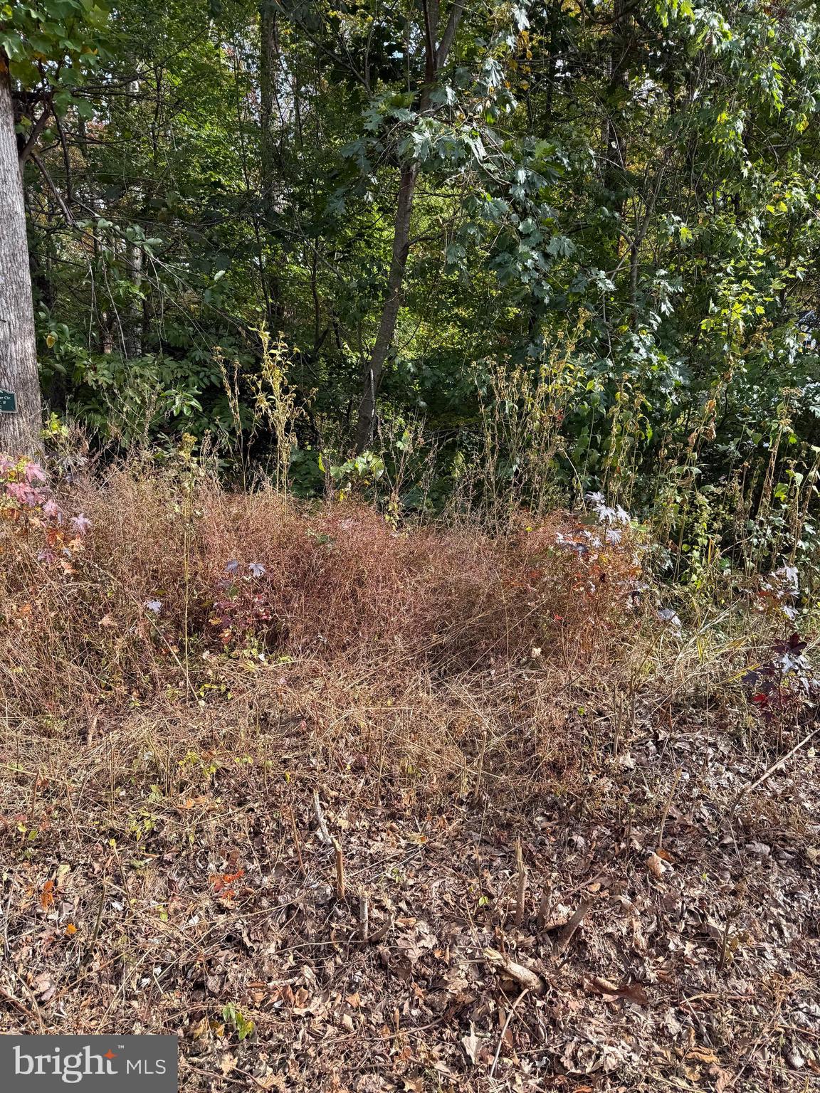 LOT 41 TRAVELLERS CIRCLE