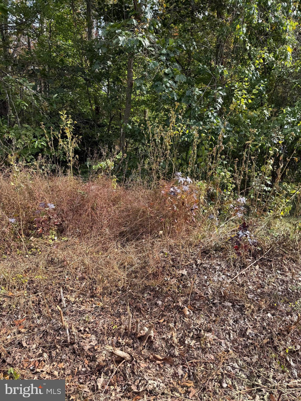 LOT 41 TRAVELLERS CIRCLE