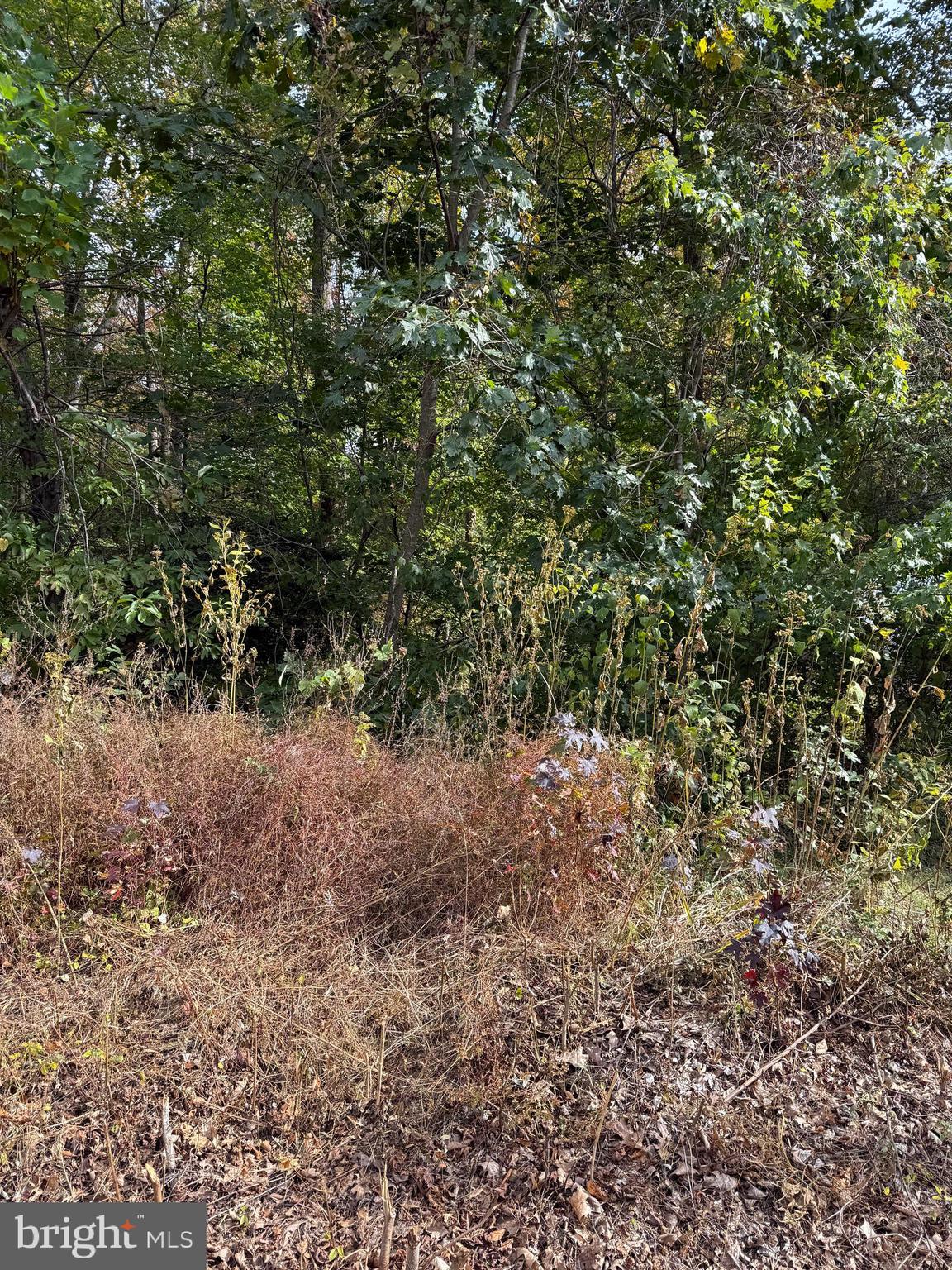 STRATFORD HARBOUR - Land