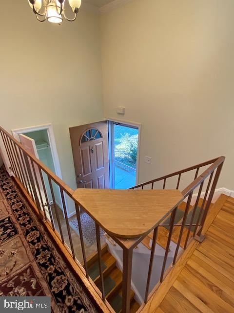 CHESTNUT HILLS - Residential Lease