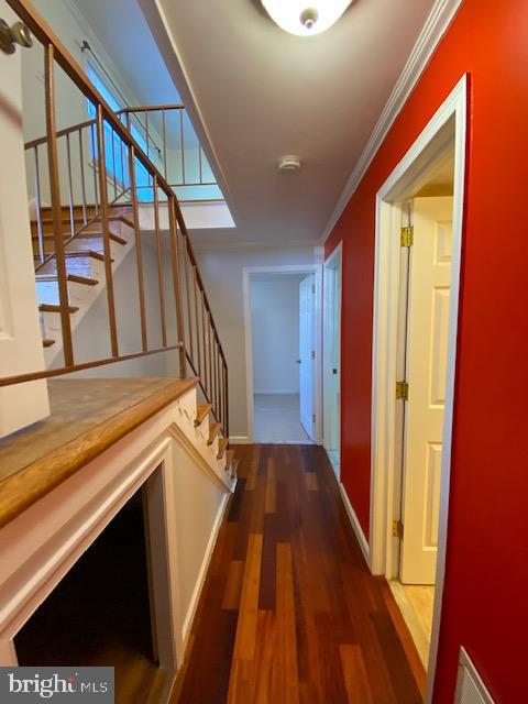 CHESTNUT HILLS - Residential Lease