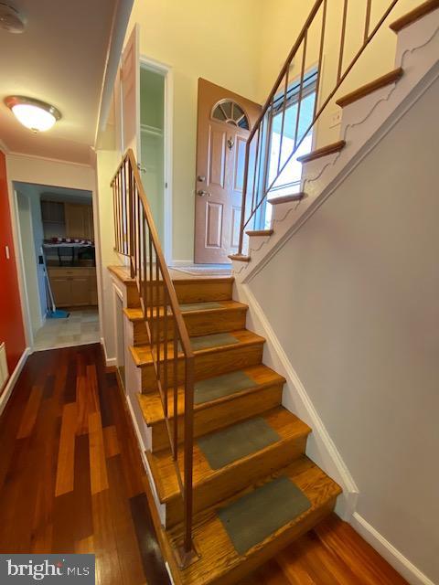 CHESTNUT HILLS - Residential Lease