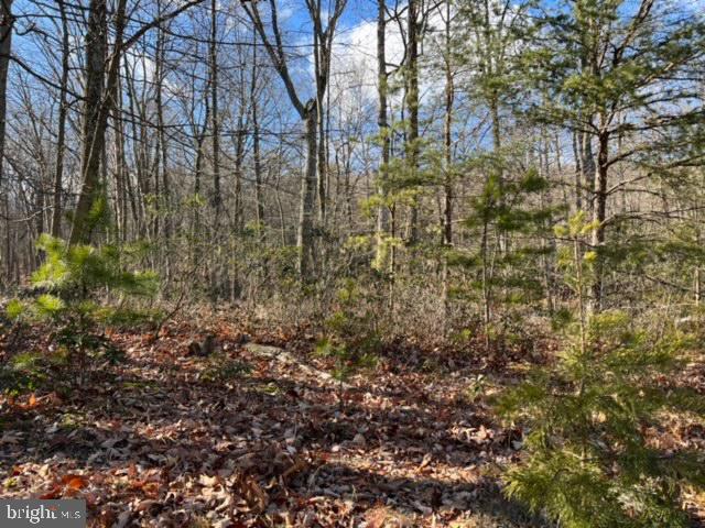 RICHMOND HILLS - Land