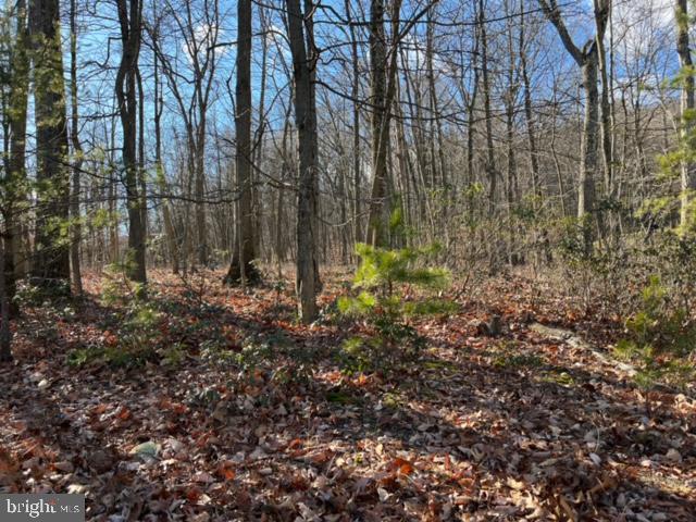 RICHMOND HILLS - Land