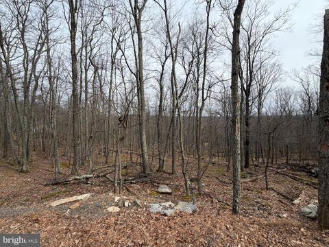 Vacant Land For Sale - 135 Spring Mountain Dr<br/> ZION GROVE, PA 17985