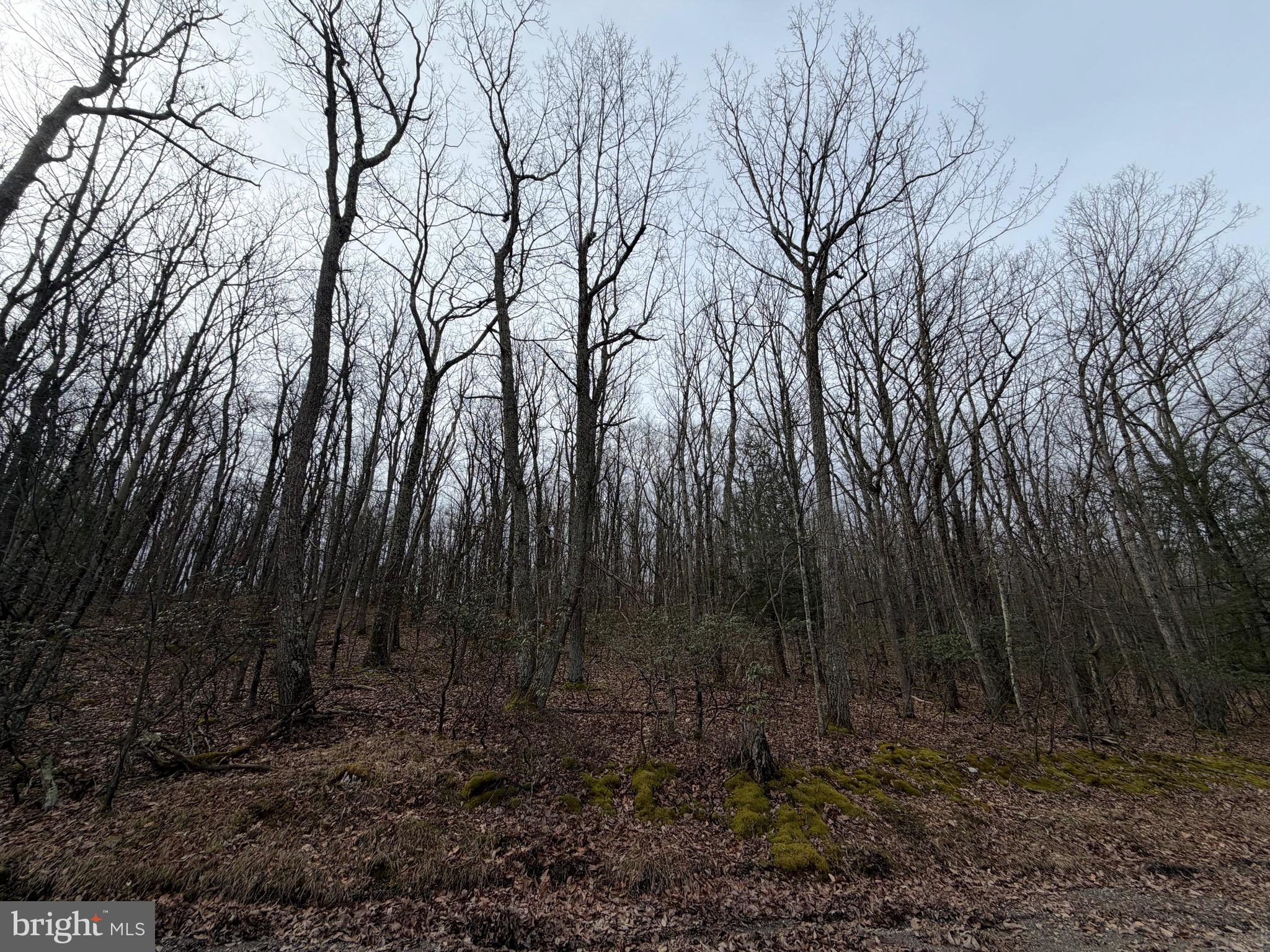 135 SPRING MOUNTAIN DR