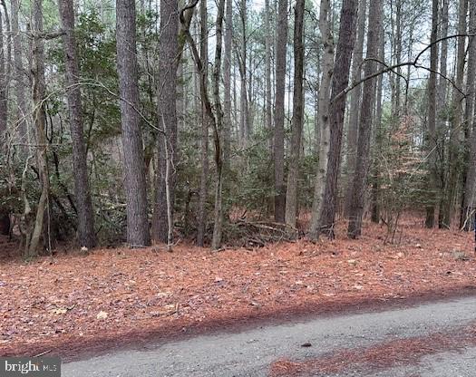 Choptank Pines, Goldsboro, MD. 12.43 acre building lot with water frontage on the upper Choptank River. Build your dream home. Close to Delaware and tax free shopping. Property was previously perk approved and is undergoing re-evaluation by Caroline County.