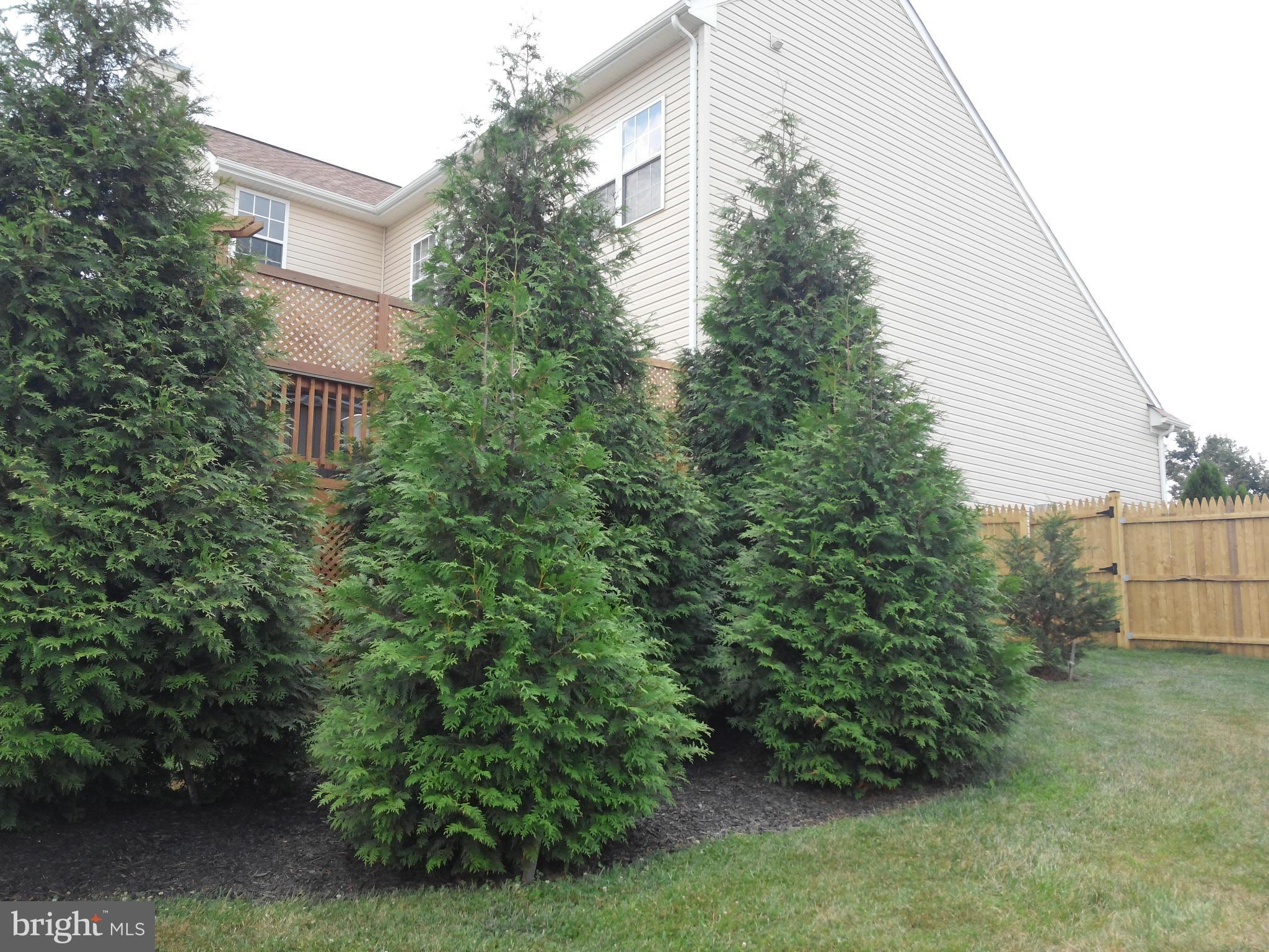 CRAIGHILL ESTATES - Residential