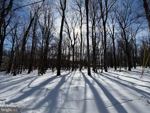 Vacant Land For Sale - 284 Killington<br/> ZION GROVE, PA 17985