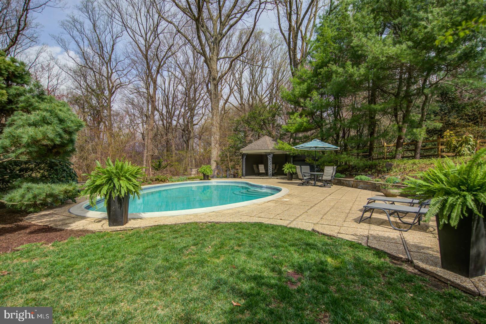 CHESTNUT HILL - Residential