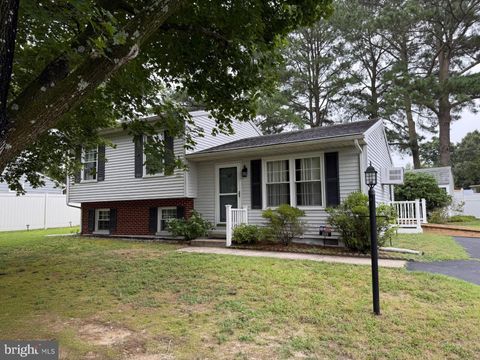 509 REGENCY DRIVE SALISBURY MD 21804