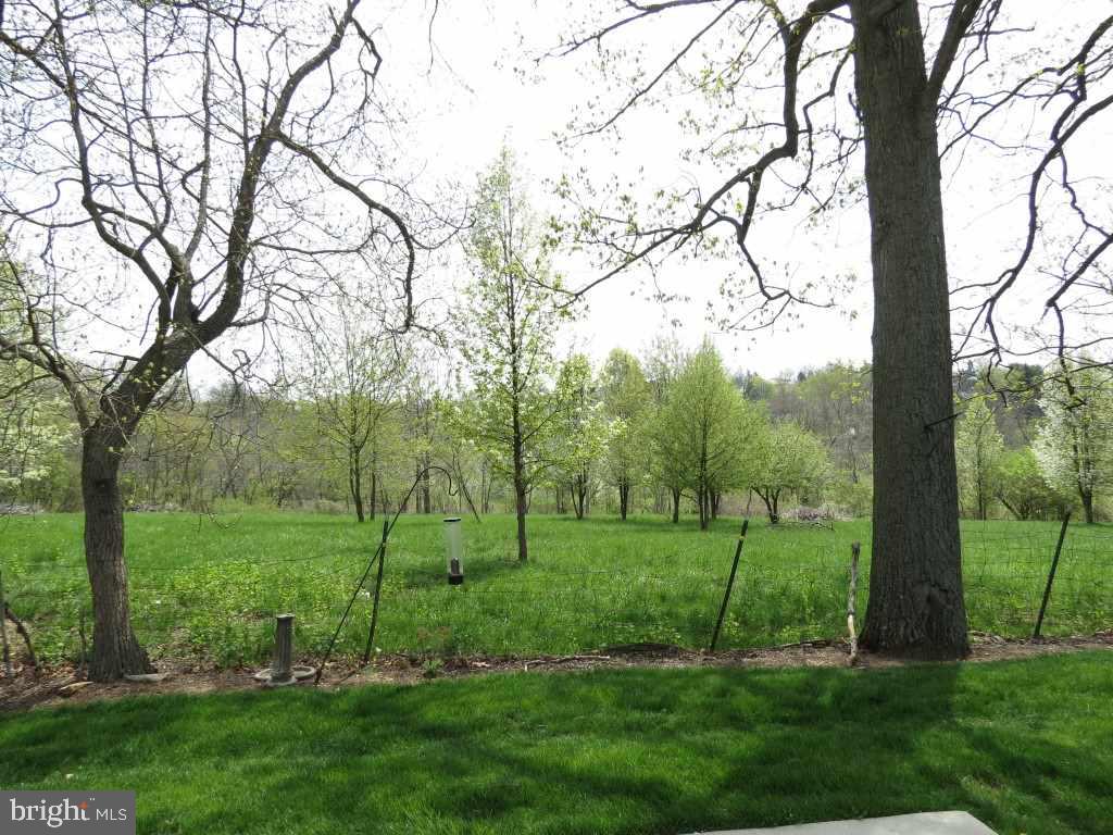 EQUINE MEADOWS - Residential