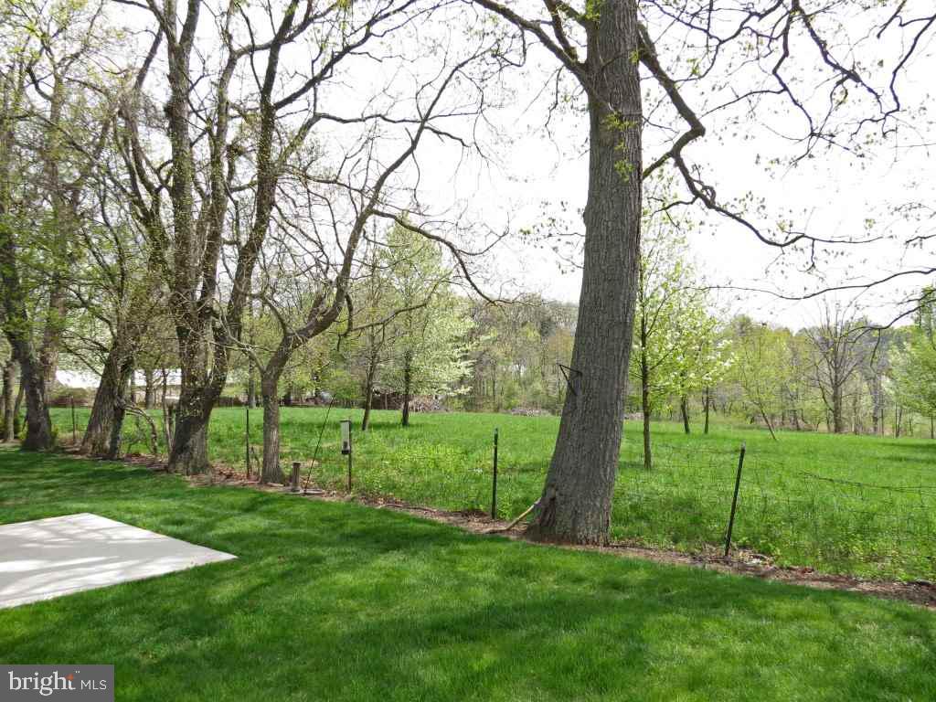 EQUINE MEADOWS - Residential
