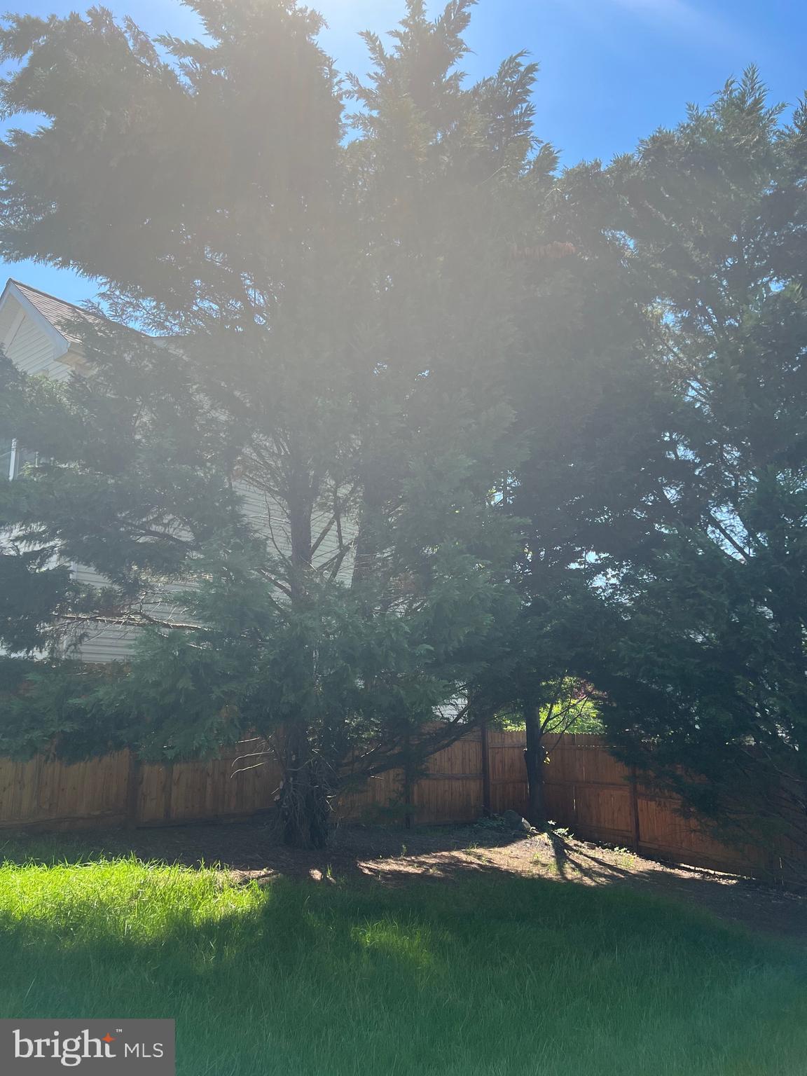 APPLE GROVE - Residential Lease