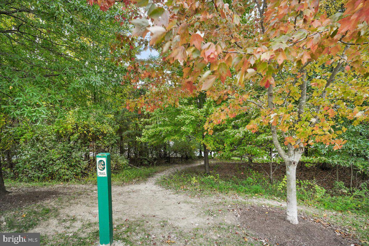 AUDUBON TERRACE VILLAS - Residential