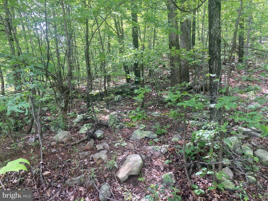 Ever dream of that cabin in the mountains, but money is tight? Here’s your chance.  16x24 cabin has been started. Foundation and shell are up. Roof is done. Bring your toolbox and creativity.  Thousands in free building material ( wood and stone ) right here on the property! Owner states there is a spring on the property.  Well alternative?  With the right vision and some work, this could be transformed into a showplace.  Cabin sits high up on property. BRING YOUR HIKING BOOTS AND A WALKING STICK!