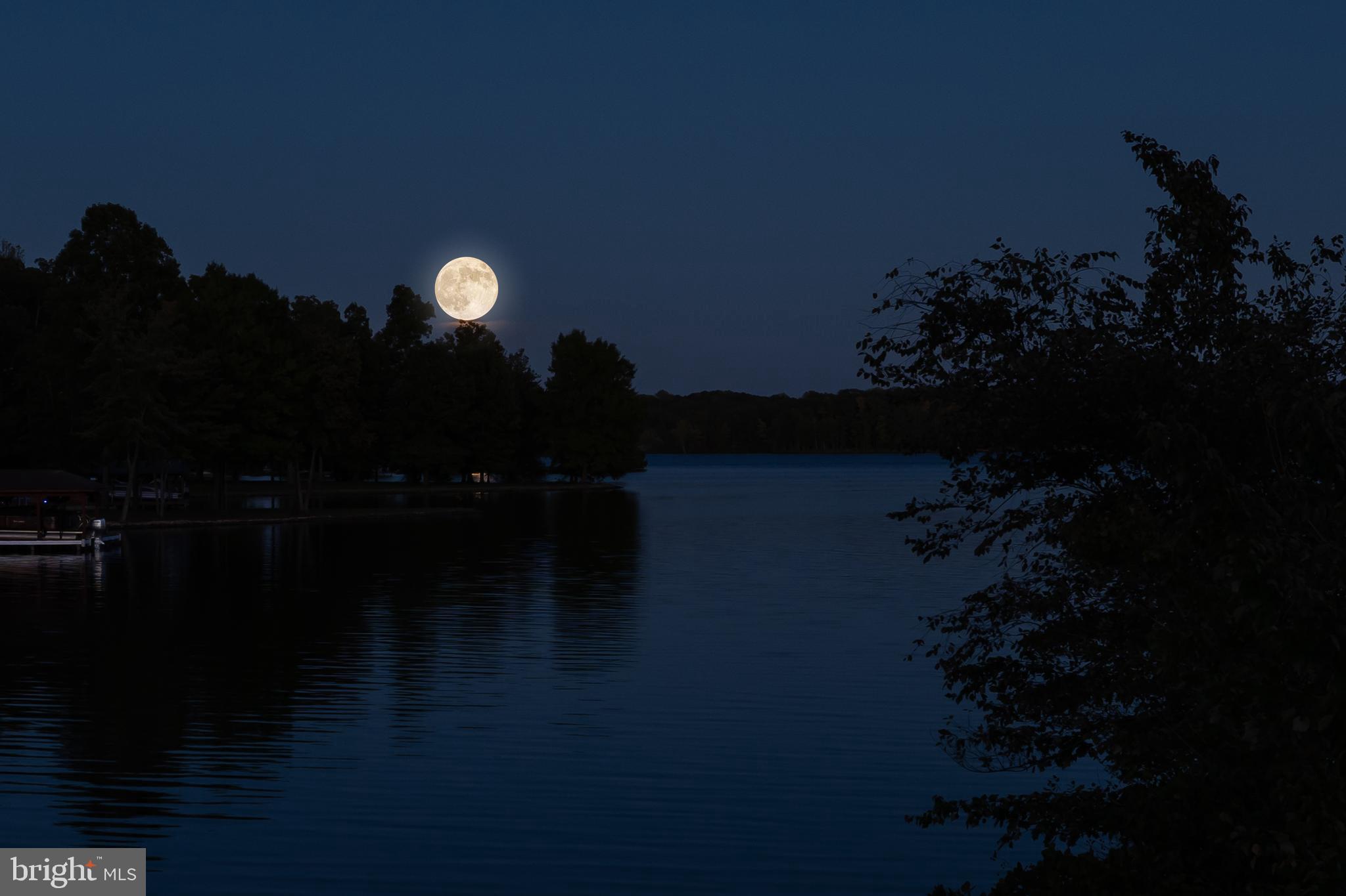 FOXWOOD MANOR - Residential