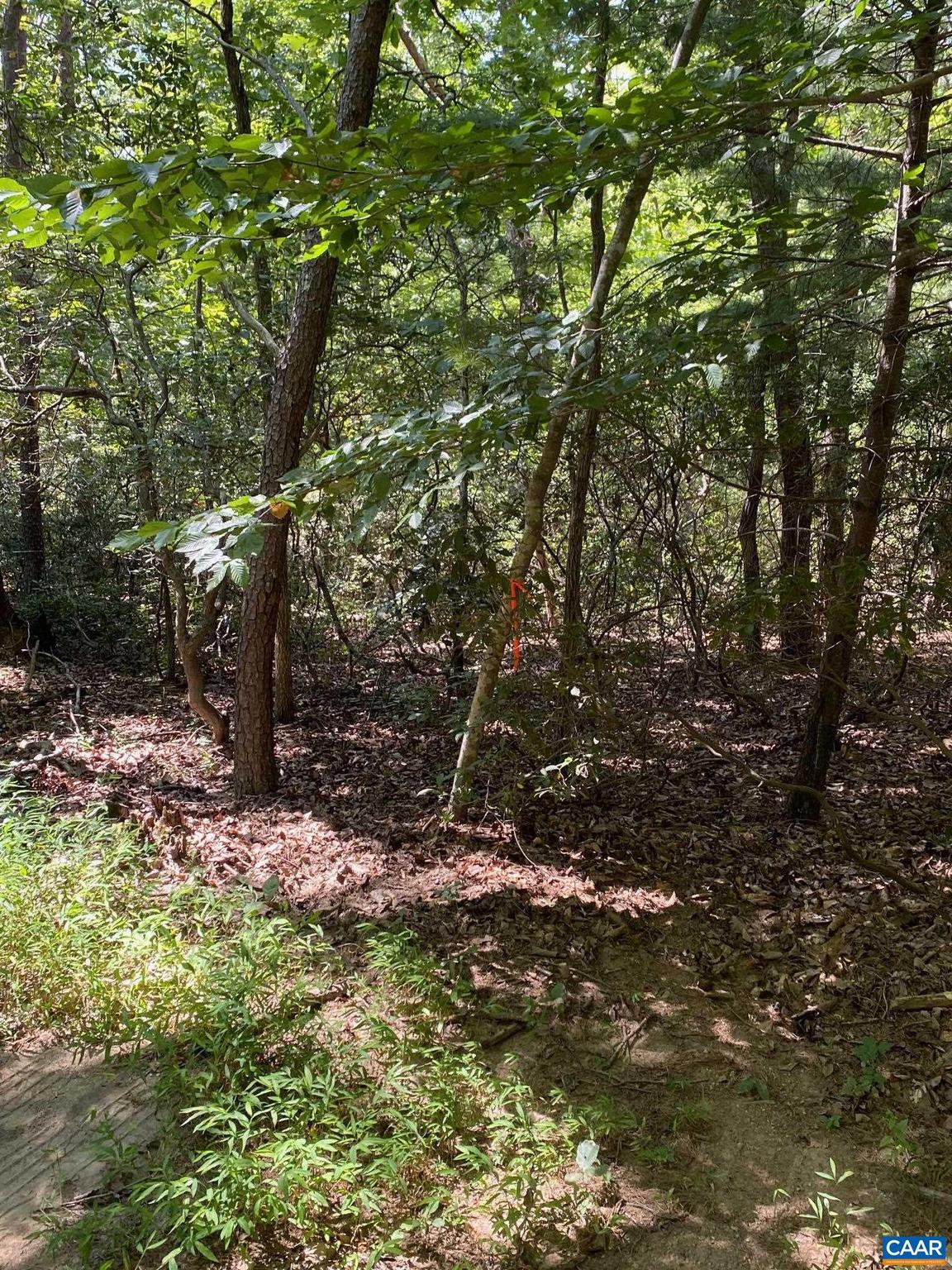 TBD LAUREL COVE RD