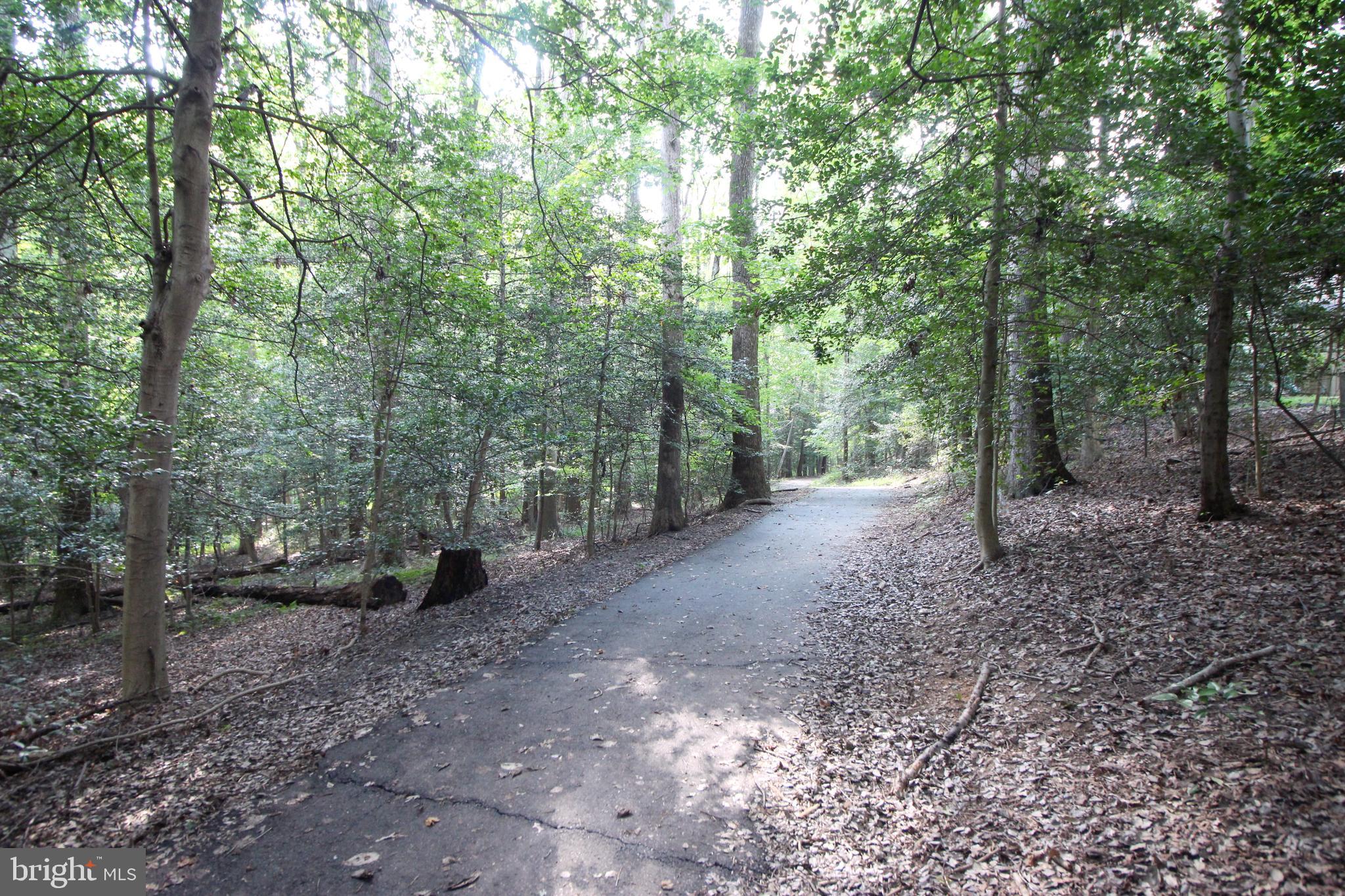 BRISTOL HOUSE - Residential Lease