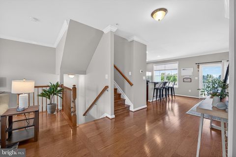 Tiny photo for 118 Sophie Lane, STEVENSVILLE, MD 21666 (MLS # MDQA2017314)