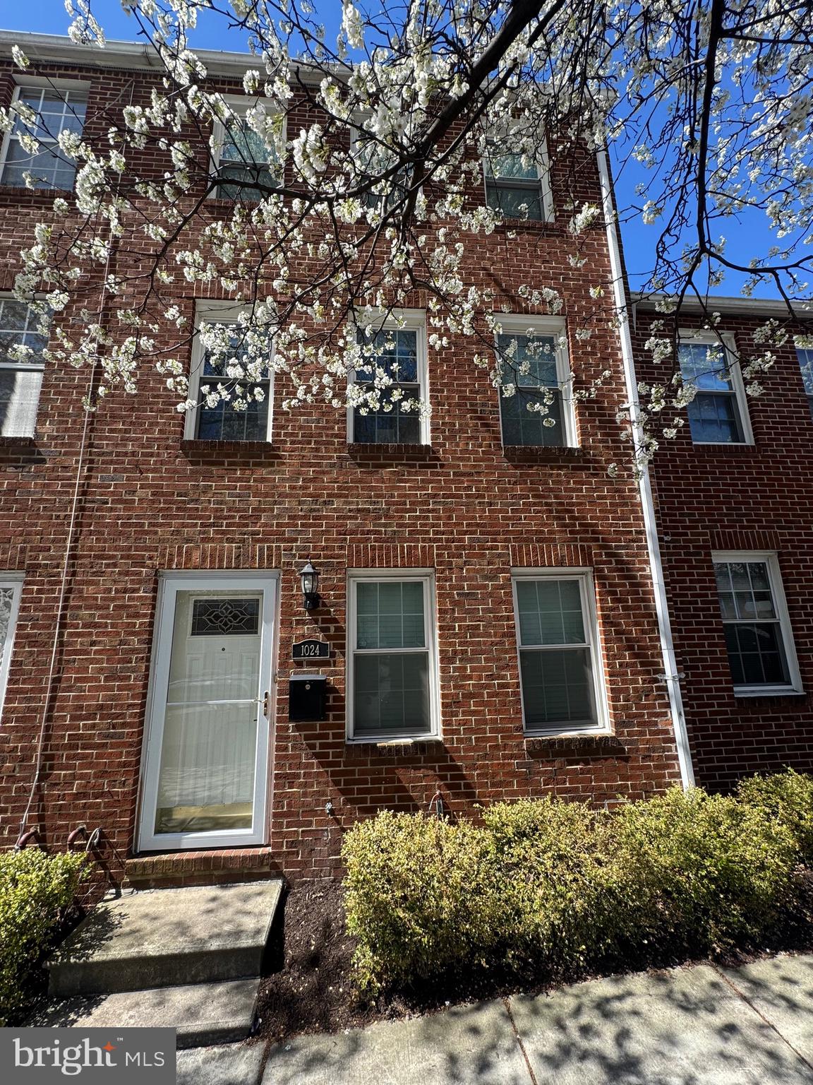 ASHLAND MEWS - Residential