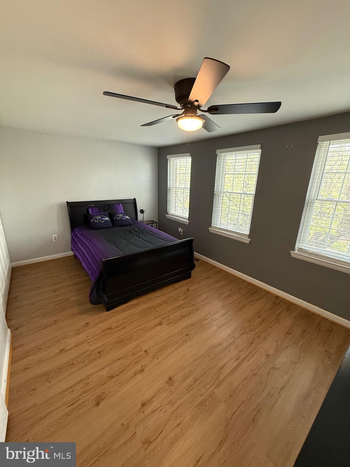 ASHLAND MEWS - Residential